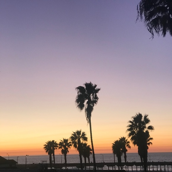 Meet your Posher, Carly - Picture 3 of 3